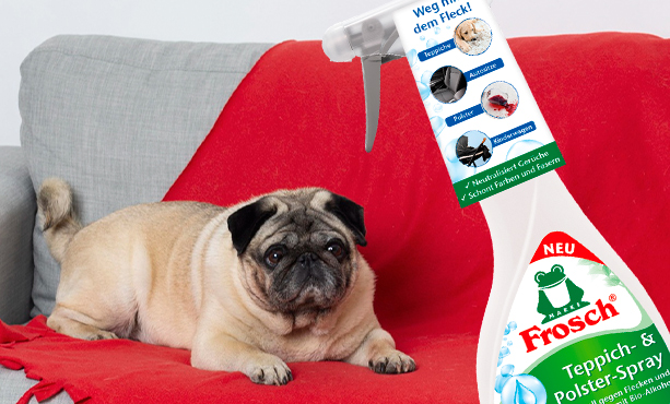 FROSCH Пенный пятновыводитель для ковров и обивки теперь доступен в unline.kz