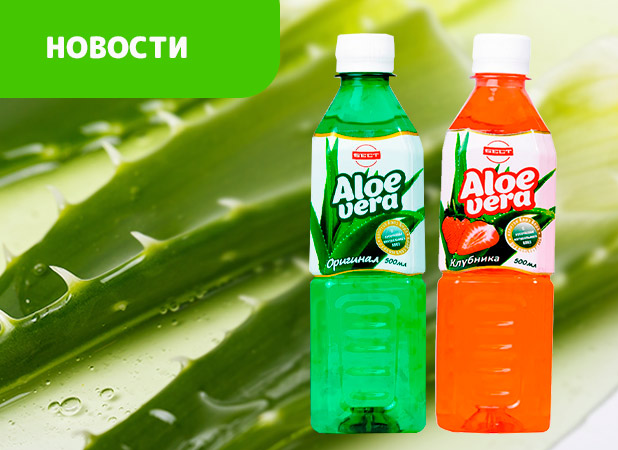 Польза напитков с алоэ. Здоровье и свежесть в каждом глотке Польза напитков с алоэ. Здоровье и свежесть в каждом глотке