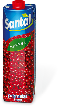 Напиток Клюква 1л Тетрапризма SANTAL