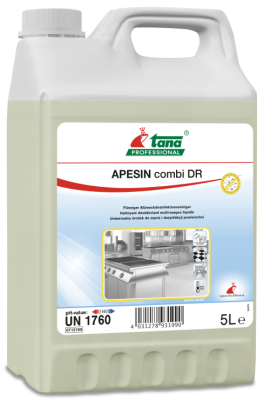 Многофункциональный дезинфицирующий очиститель APESIN Combi DR 5000 Tana
